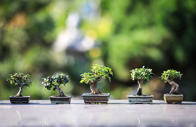 Proměňte si balkon ve stylu japonské zahrady